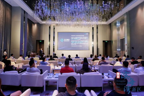 共謀灣區未來發展,東莞濱海灣機器視覺與高端裝備投資合作交流會成功舉辦