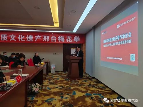 邢臺梅花拳發展懇談會 傳承武術文化，共謀發展新篇